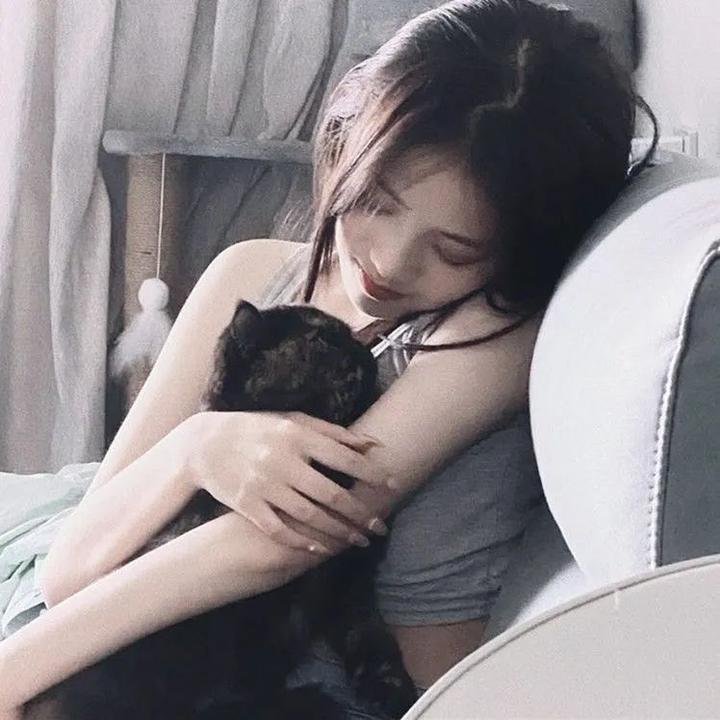 最后的骑士 在线观看